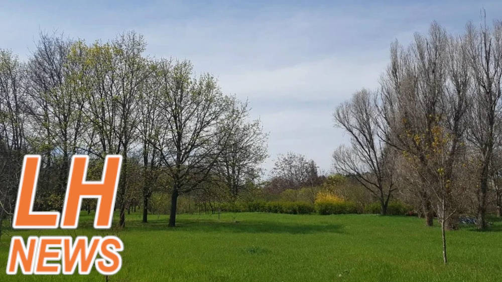 Бесплатный фотобанк